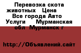 Перевозка скота животных › Цена ­ 39 - Все города Авто » Услуги   . Мурманская обл.,Мурманск г.